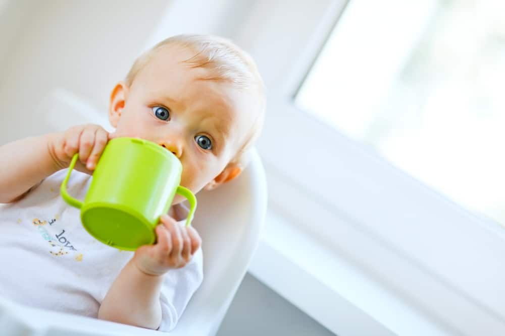 Toddler Using a Cup