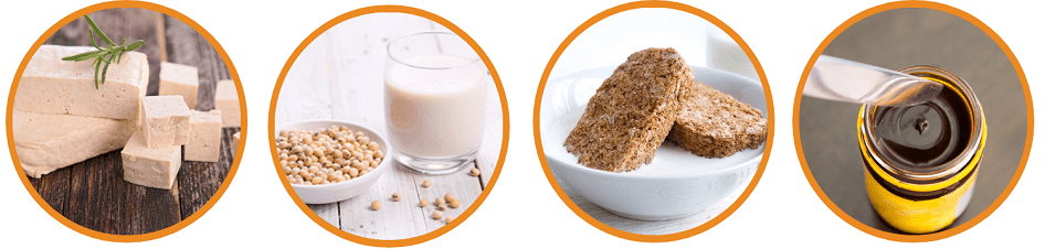B12 Vegan Examples - Tofu, Soya milk, wheat cereal, yeast extract