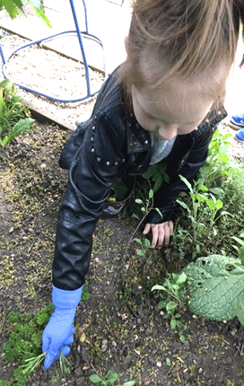 Child planting in  a garden