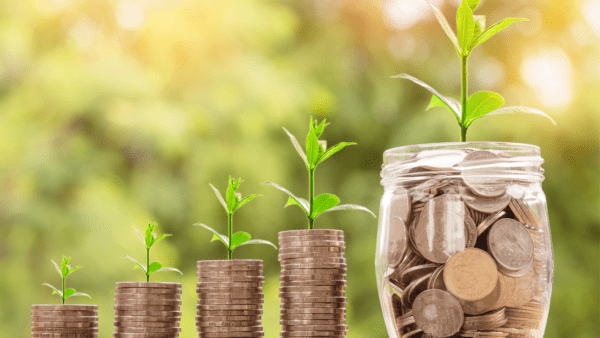 Different piles of coins with a plant growing from the top. The bigger the pile the bigger the plant