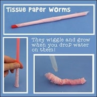 Paper Worm