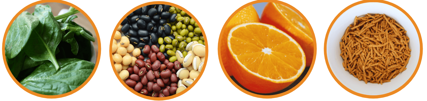 Examples of folate foods