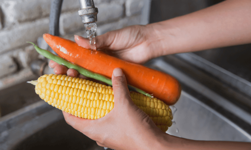 Person washing carrots and sweetcorn before eating them